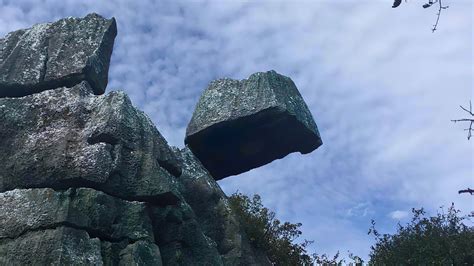  Negombax! Un Esponjoso Gigante que Desafía la Gravedad en el Fondo Marino