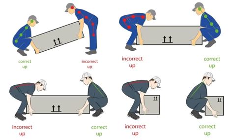  Utilicando sus Mil Piernas: Descubriendo al Increíble Uso de la Fuerza para Mover Objetos Pesados